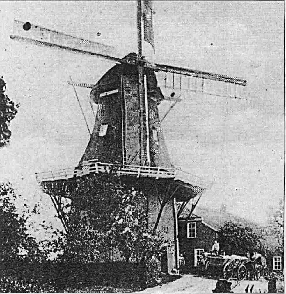 Die Steenfelder Mühle
